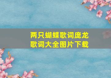 两只蝴蝶歌词庞龙歌词大全图片下载