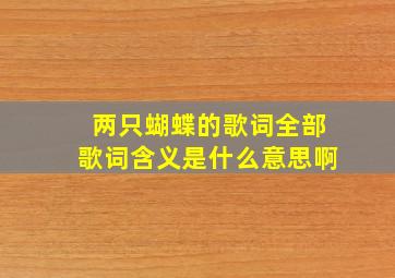 两只蝴蝶的歌词全部歌词含义是什么意思啊