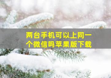 两台手机可以上同一个微信吗苹果版下载