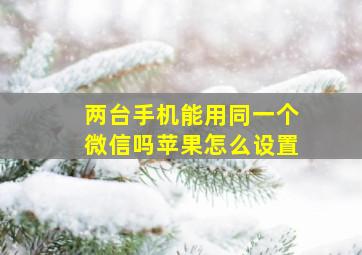 两台手机能用同一个微信吗苹果怎么设置