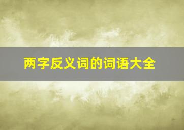 两字反义词的词语大全