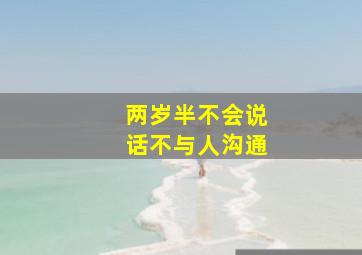 两岁半不会说话不与人沟通