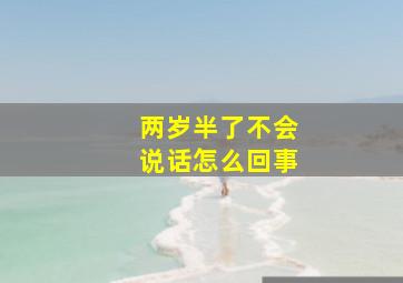 两岁半了不会说话怎么回事