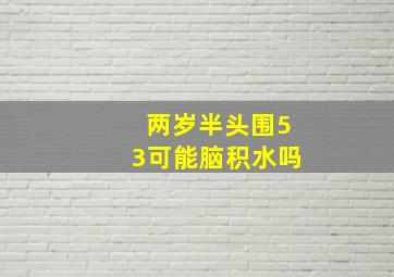 两岁半头围53可能脑积水吗