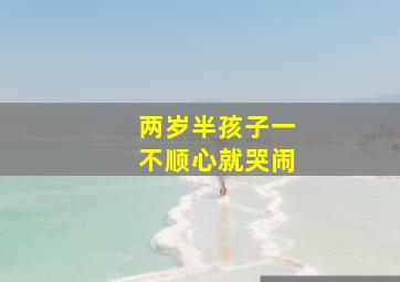 两岁半孩子一不顺心就哭闹