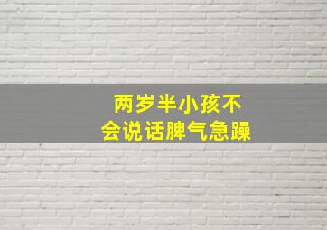 两岁半小孩不会说话脾气急躁