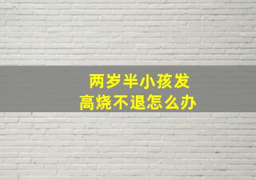 两岁半小孩发高烧不退怎么办