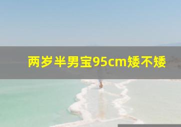 两岁半男宝95cm矮不矮