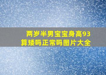 两岁半男宝宝身高93算矮吗正常吗图片大全