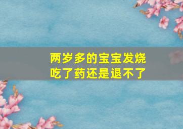 两岁多的宝宝发烧吃了药还是退不了