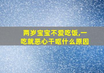 两岁宝宝不爱吃饭,一吃就恶心干呕什么原因