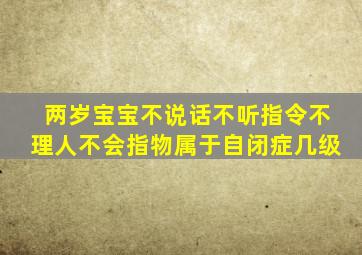 两岁宝宝不说话不听指令不理人不会指物属于自闭症几级