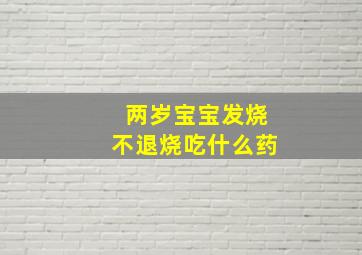 两岁宝宝发烧不退烧吃什么药