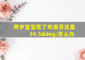 两岁宝宝吃了布洛芬还是39.5°怎么办