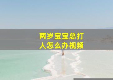 两岁宝宝总打人怎么办视频