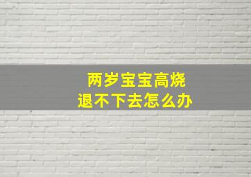 两岁宝宝高烧退不下去怎么办