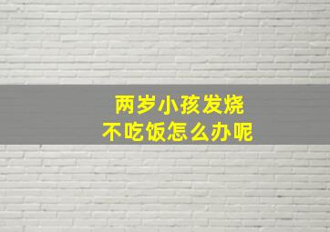 两岁小孩发烧不吃饭怎么办呢