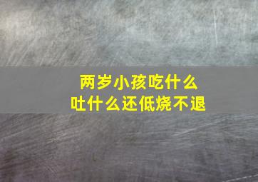 两岁小孩吃什么吐什么还低烧不退