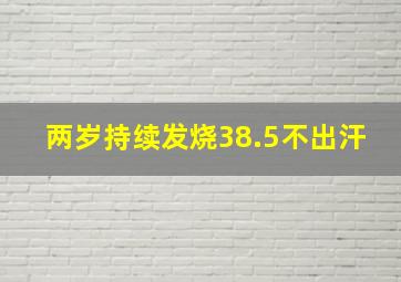 两岁持续发烧38.5不出汗