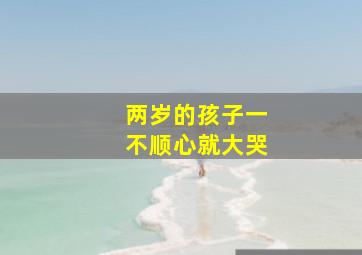 两岁的孩子一不顺心就大哭