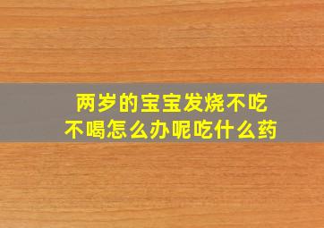 两岁的宝宝发烧不吃不喝怎么办呢吃什么药