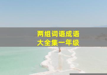 两组词语成语大全集一年级