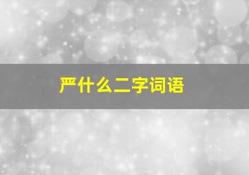 严什么二字词语