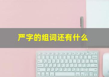 严字的组词还有什么