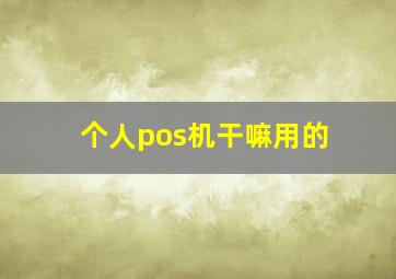 个人pos机干嘛用的