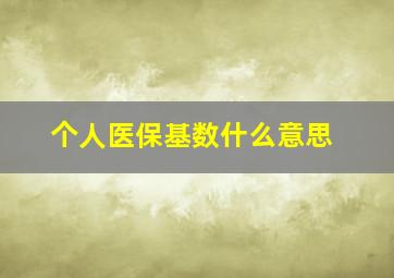 个人医保基数什么意思