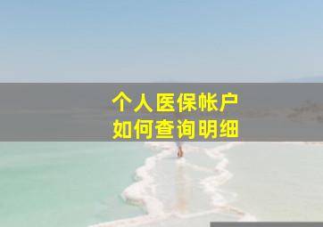 个人医保帐户如何查询明细