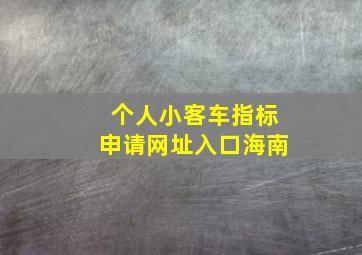 个人小客车指标申请网址入口海南