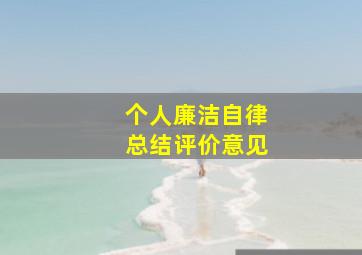 个人廉洁自律总结评价意见