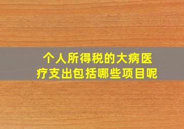 个人所得税的大病医疗支出包括哪些项目呢