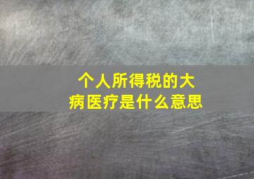 个人所得税的大病医疗是什么意思