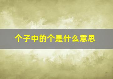 个子中的个是什么意思