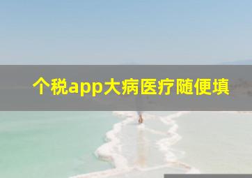 个税app大病医疗随便填