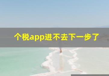 个税app进不去下一步了