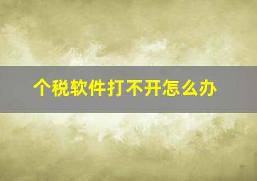 个税软件打不开怎么办