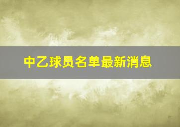 中乙球员名单最新消息