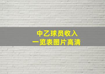 中乙球员收入一览表图片高清