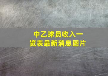 中乙球员收入一览表最新消息图片