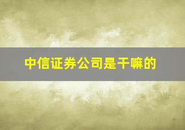 中信证券公司是干嘛的