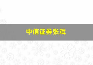 中信证券张斌