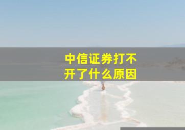 中信证券打不开了什么原因