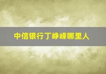 中信银行丁峥嵘哪里人