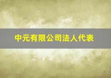 中元有限公司法人代表