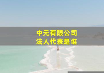 中元有限公司法人代表是谁