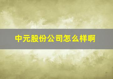 中元股份公司怎么样啊