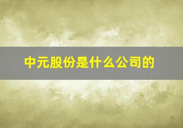 中元股份是什么公司的